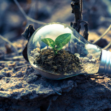 Green Press Community